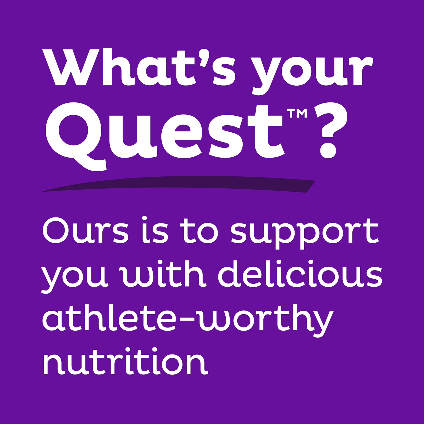 double-chocolate-chunk-protein-bars-o2 qst-000241_double-chocolate-chunk-protein-bars_9.png